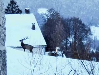 La Ferme De Jean