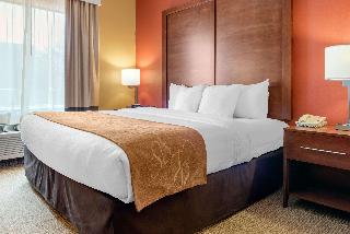 1 King Bed, Suite, Nonsmoking, Accessible