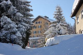 Hotel Alpina Parpan