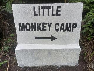 Little Monkey Camp