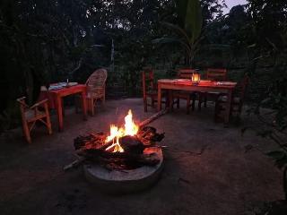Little Monkey Camp