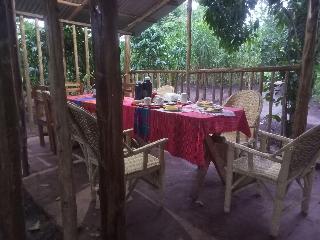 Little Monkey Camp