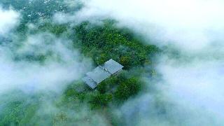 Elephant Passage Resort Munnar