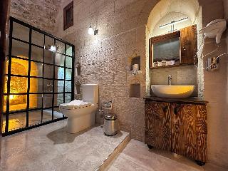 Aryan Otel