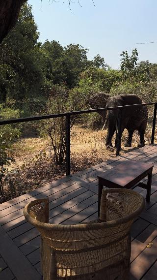 Camp Sabali Safaris