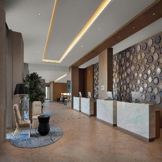 Cappadocia Marriott Hotel