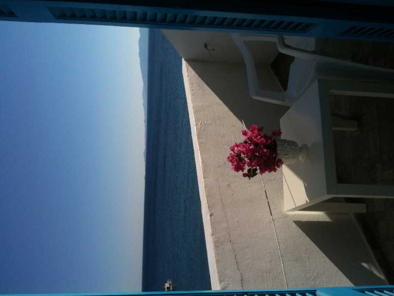 Terrace
 di Anemoessa