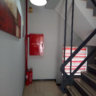 Zapion