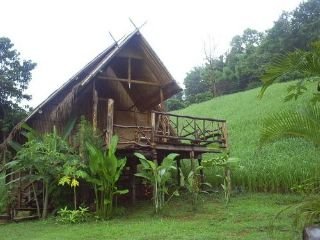 General view
 di Bamboo Country Lodge Chiang Mai