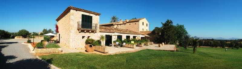 Terrace
 di Casal Santa Eulàlia