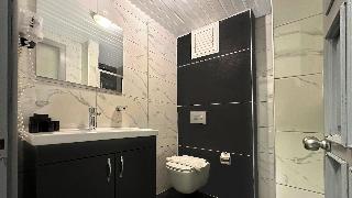 Casa De Levii Ssii Hotel Oludenii Z
