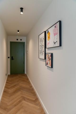 Room Room