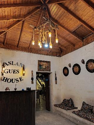 Aslan Konuk Evi