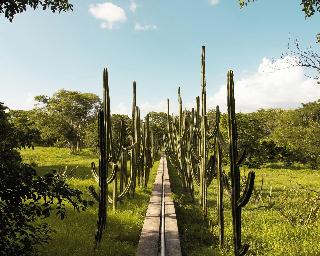 Hacienda San Antonio Millet