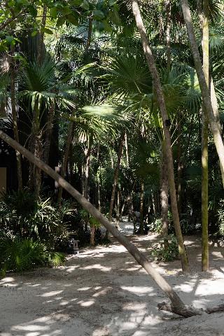 Umi Tulum