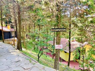 Agva Orman Evleri̇ Forest Lodge