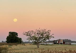 REFUGIO Natural Glamping