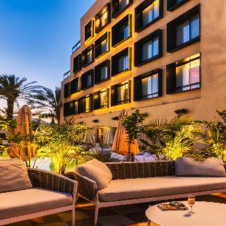Brown Eilat Image 31