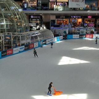 Brown Eilat Image 42