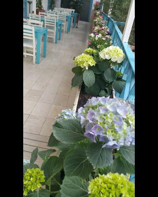 Adana City Butik Hotel