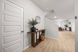 Room Room