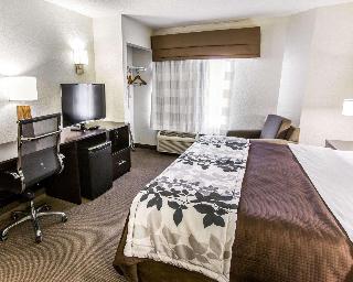 1 King Bed, Nonsmoking