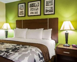 Room Room