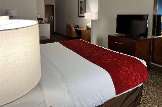 1 King Bed, Suite, Nonsmoking