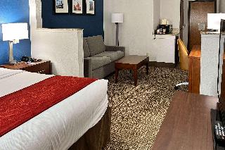 1 King Bed Suite Nonsmoking Accessible