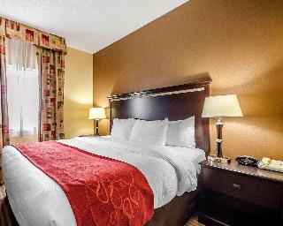 1 King Bed Suite Nonsmoking Accessible