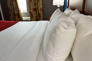 1 King Bed Suite Nonsmoking Accessible