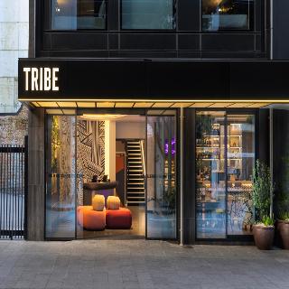 Tribe Auckland