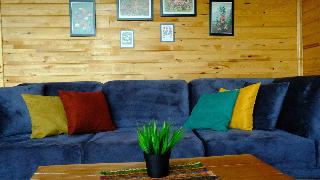 Room Room