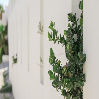 Apeiron Perissa Apartments