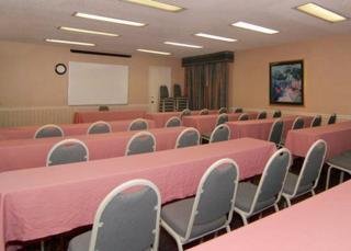 Conferences
 di Quality Inn & Suites (Addison)