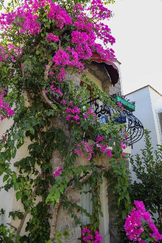 Bella Garden Boutique Hotel