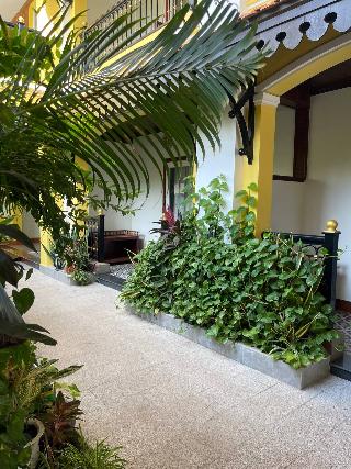 Sunflower Angkor Boutique Hotel