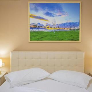 Room Room