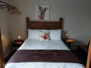 Room Room