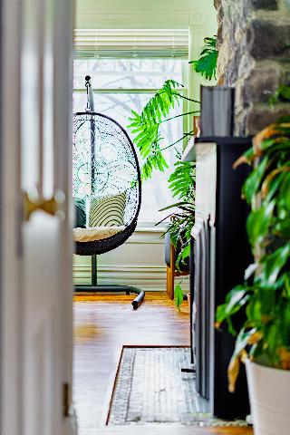 Jungle House - Luxury Stays