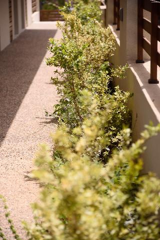 Falena Luxury Rooms