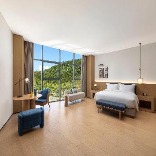 Room Room