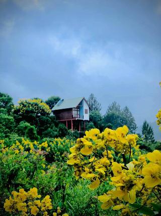 La Seran Eco Resort - Ella