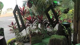 Belize Reef Escape
