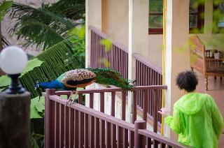 Chang Cliff Resort