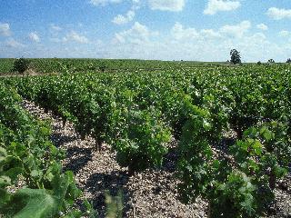 Adagio Access Bordeaux Sud Pessac