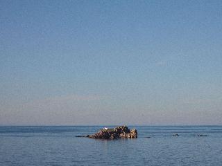 Luura - Cliff, Paros, Morgans Originals