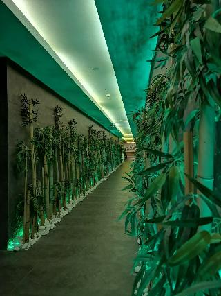 Çam Termal Resort & Spa Convention Center