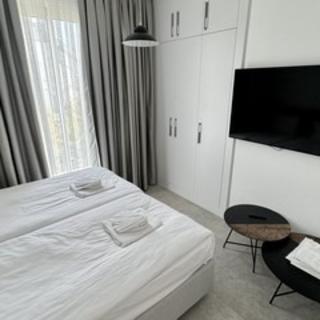 Room Room