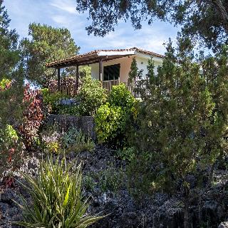 Sabinas & Terrazas Malpaís